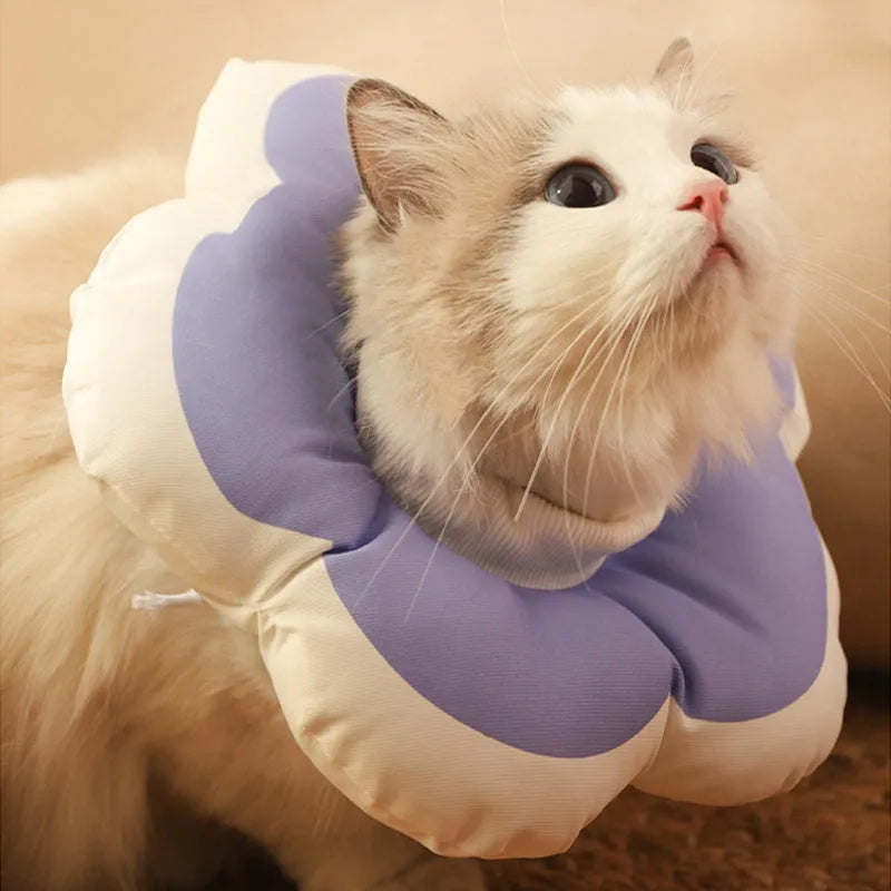Adjustable cotton flower collar for cats in various colours on a white background