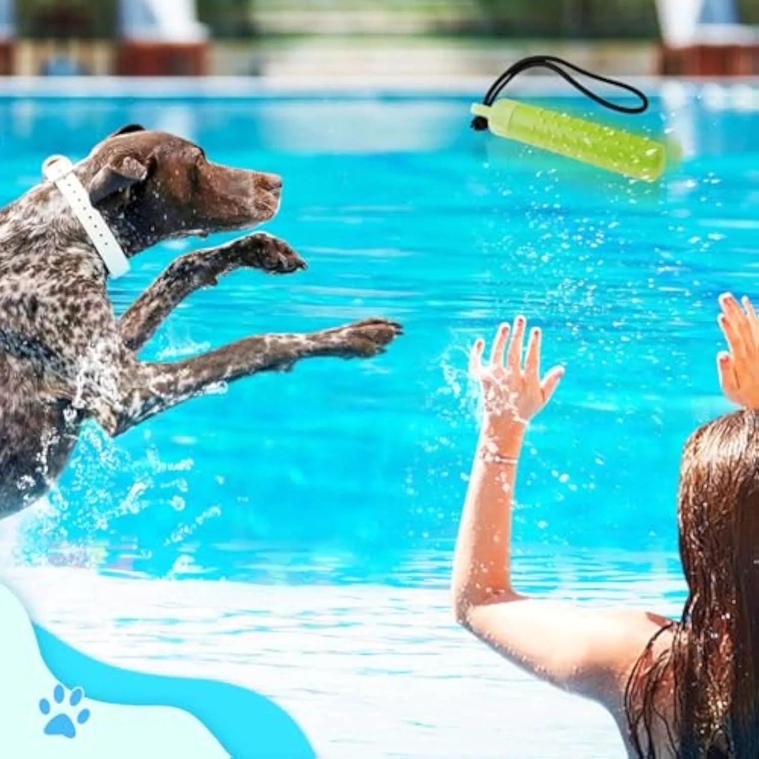 Two floating dog pool toys in red and green with rope handles on a blue background