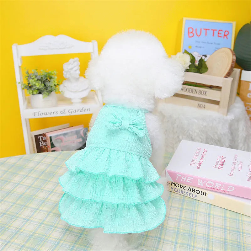 Small white dog wearing a rose red layered princess dress with a candy skirt design