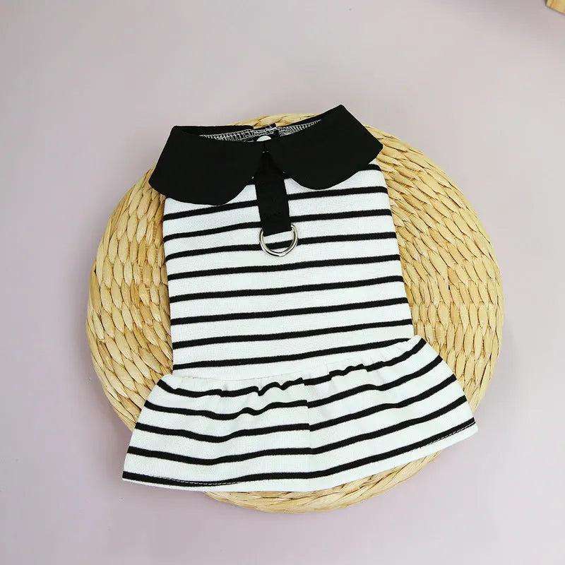 Pet wearing striped cotton t-shirt and matching skirt summer outfit set