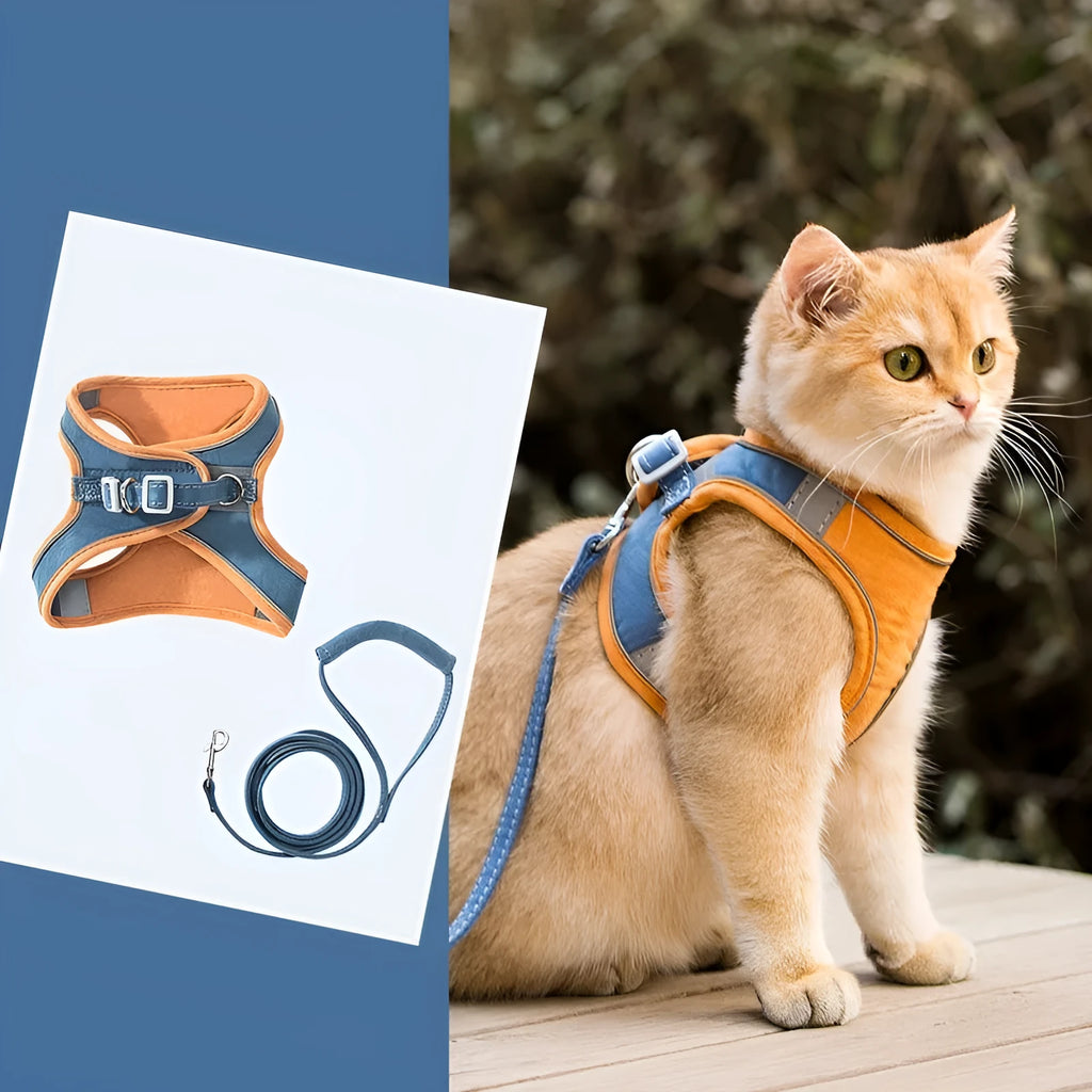 Reflective cat vest harness with integrated lead in suede material showing blue orange stitching detail