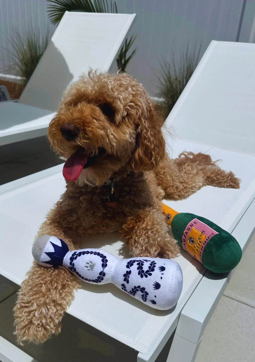 Red and white tequila bottle plush dog toy with squeaker, 26cm tall