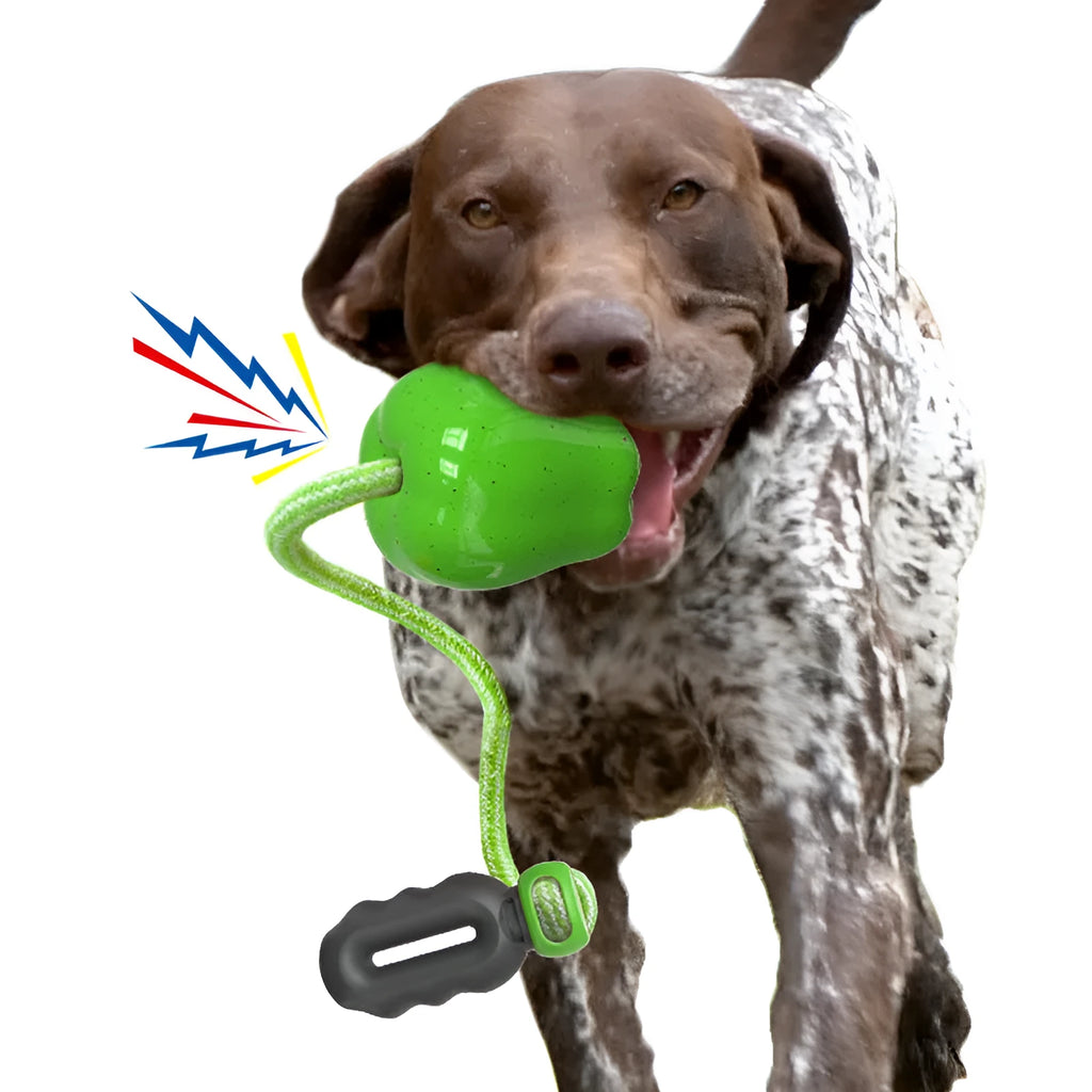 Green and red apple-shaped plastic dog toy with a textured surface and hollow centre.