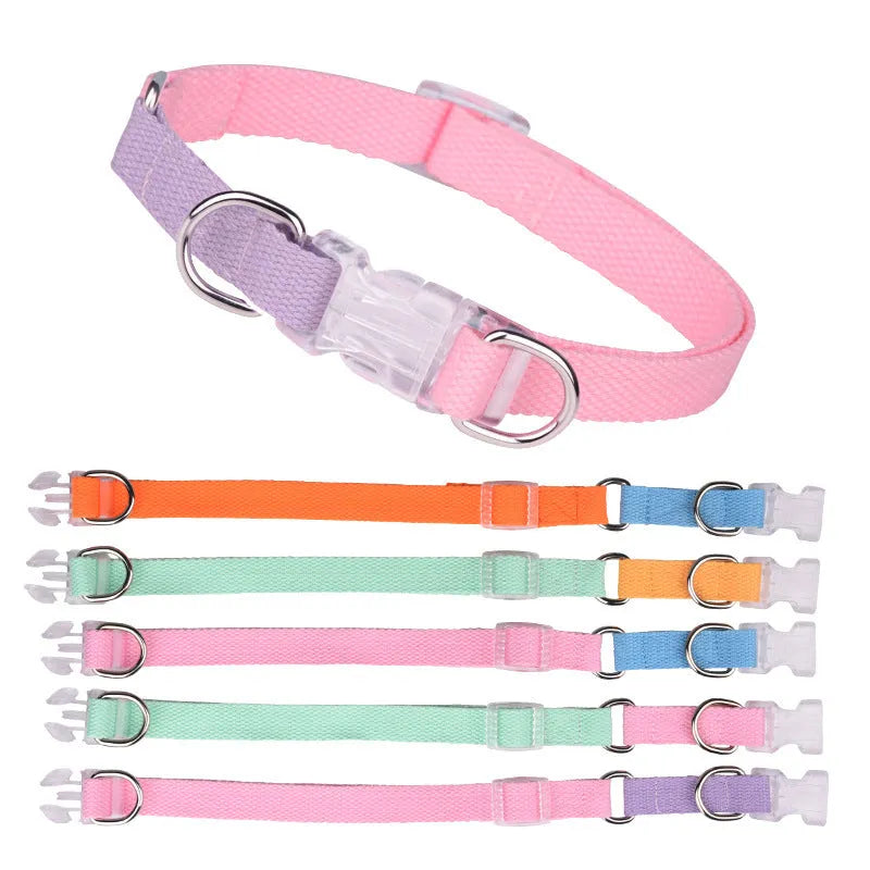 Polyester ribbon dog collar, lead, and chest strap set in a two-tone colour, shown with size adjustment buckle.