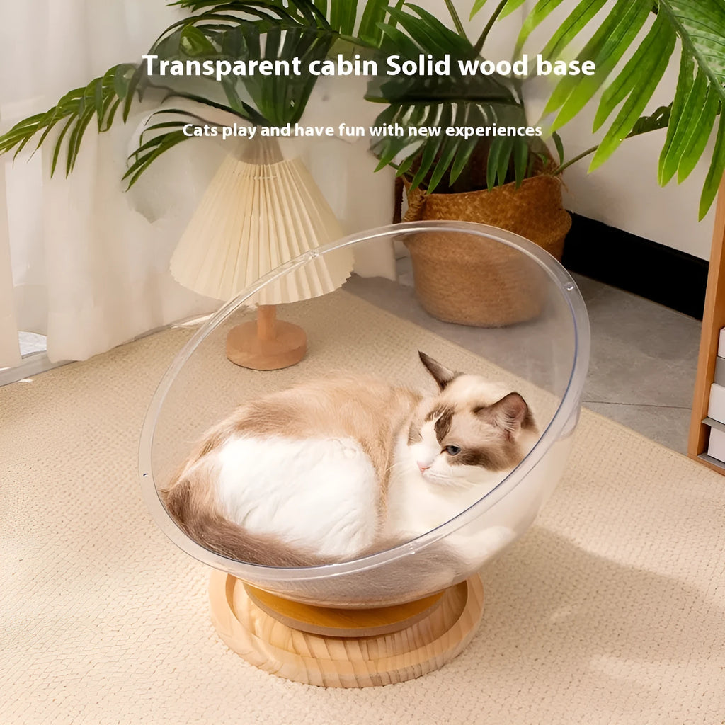 Transparent acrylic cat space capsule bathtub bed showing clear walls and capsule shape