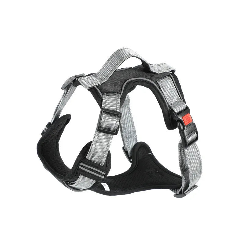 Orange polyester dog chest strap vest harness with an adjustable strap and a matching hand holding rope.
