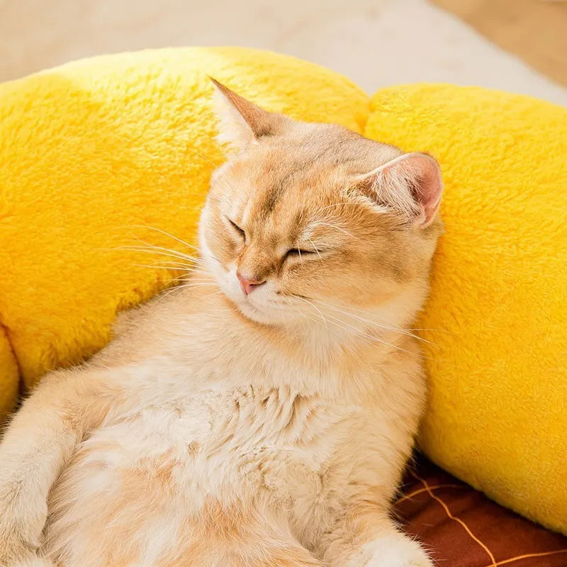 Cat nest cushion pet bed in green dinosaur pattern with PV velvet material