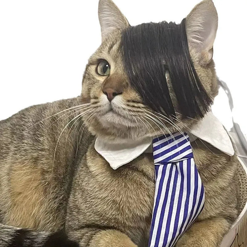 Black imitation braid fox tail wig for cats on a white background.