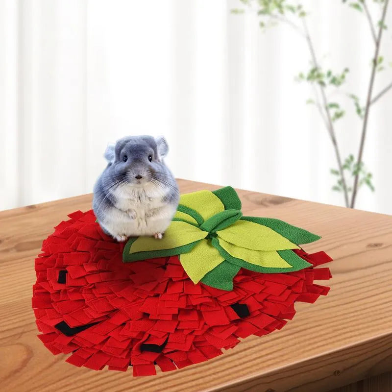 Red and green strawberry-shaped pet snuffle mat with hiding spots for interactive feeding