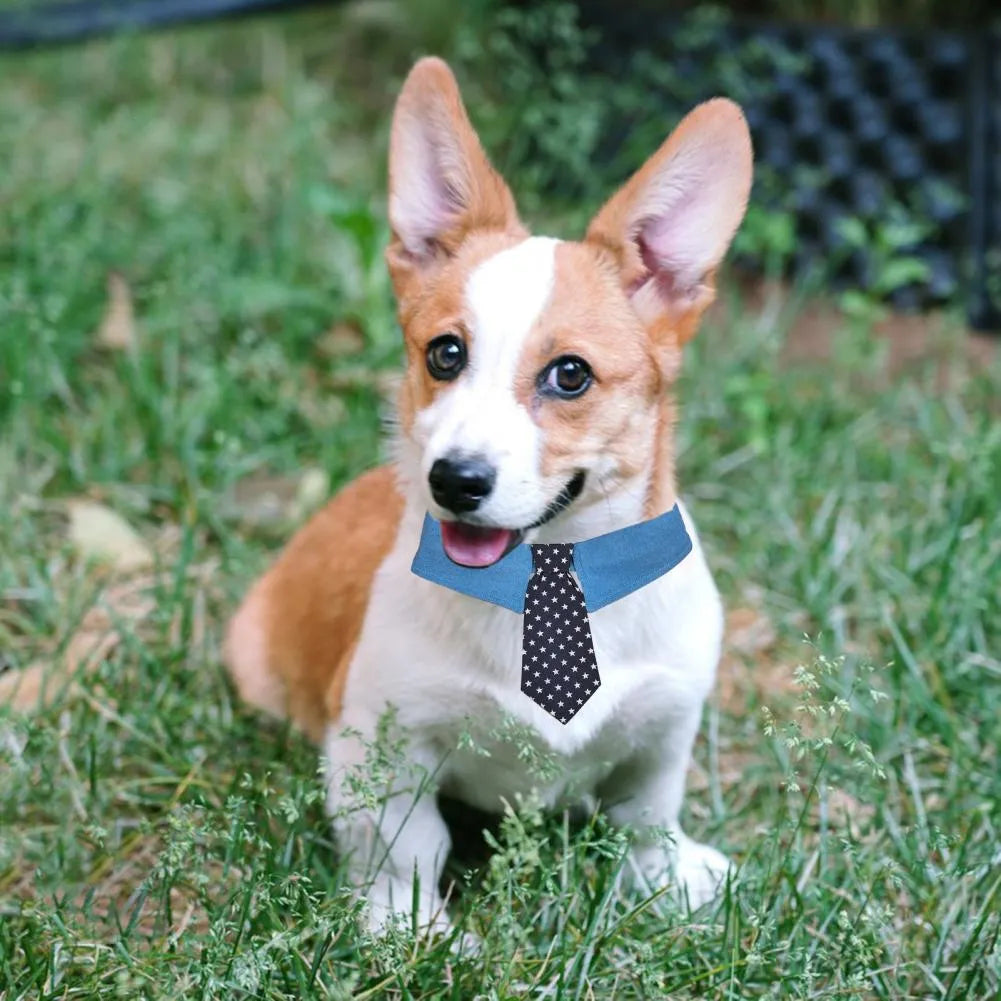 Denim pet collar with star-pattern necktie on adjustable fastener tape closure