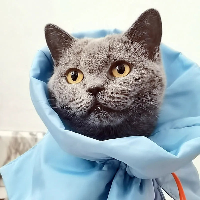 Adjustable soft cat recovery collar in light blue colour showing elastic buckle and polyester construction
