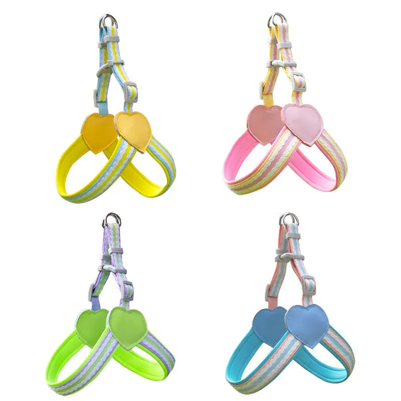 Nylon dog walking harness and leash set in multiple colours with adjustable sizing