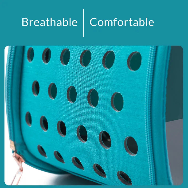 Double Fish transparent PVC pet backpack for small dogs and cats in sky blue with ventilation holes