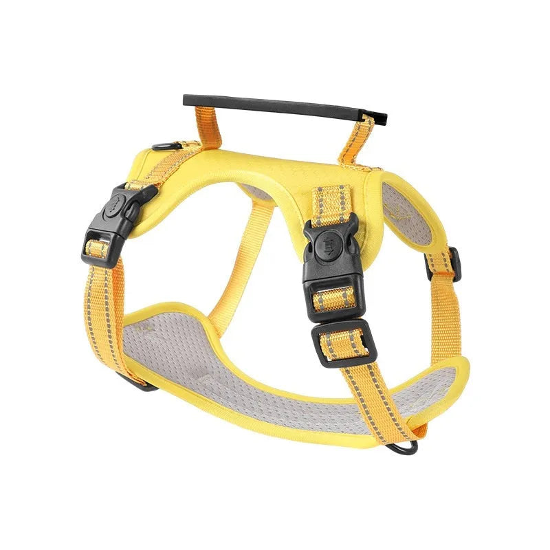 Polyester dog chest harness and rope set in multiple colours and sizes for secure pet control.