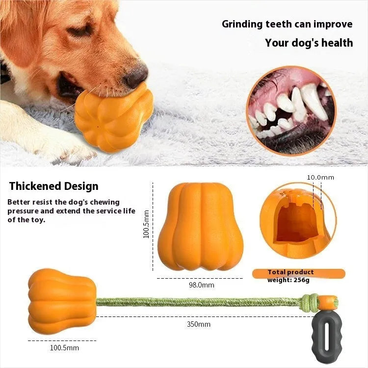 Orange Bite Molar plastic dog toy with rope, shown on grass for outdoor use.