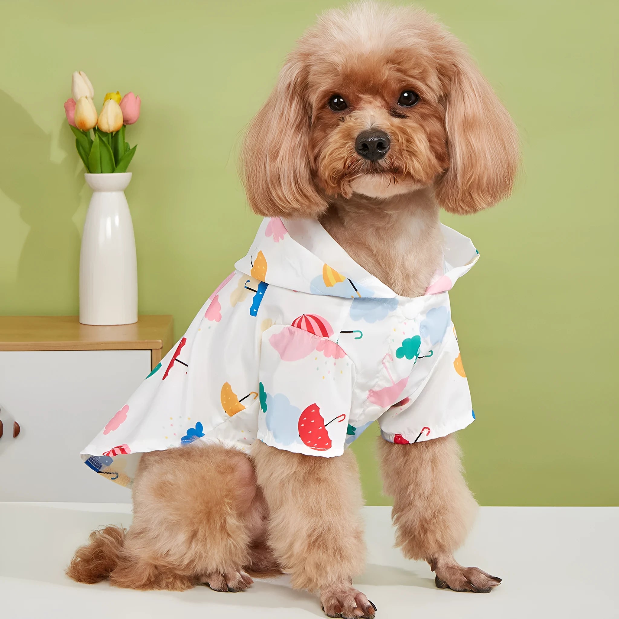 Colourful cartoon umbrella pattern dog or cat raincoat in polyester.