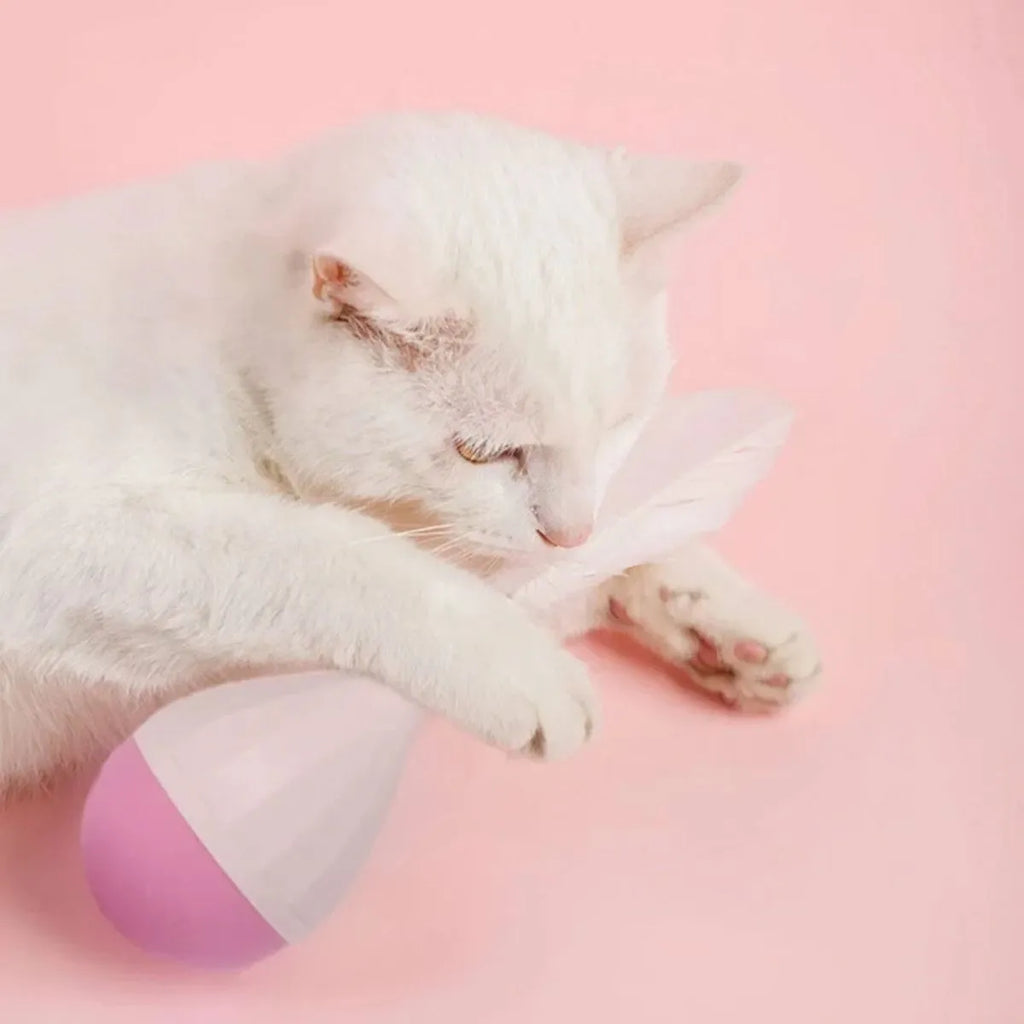 Feather tumbler cat toy with rolling ball and goose feather tease stick on a coloured background.