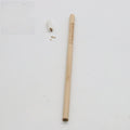 Seed Pencil plantable growing pencil with degradable capsule containing flower and vegetable seeds