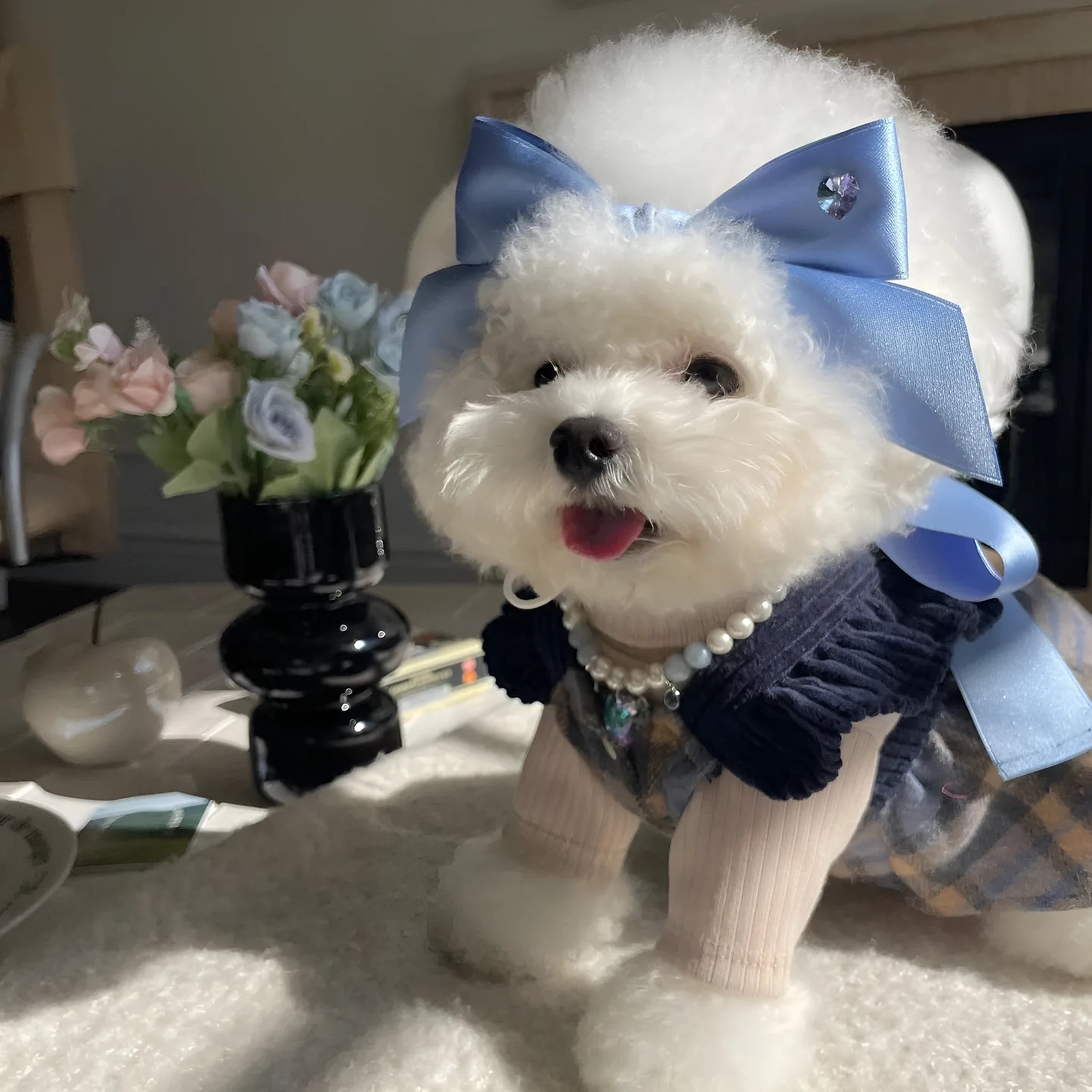 Blue princess bow dog hair band with adjustable tension on a small dog