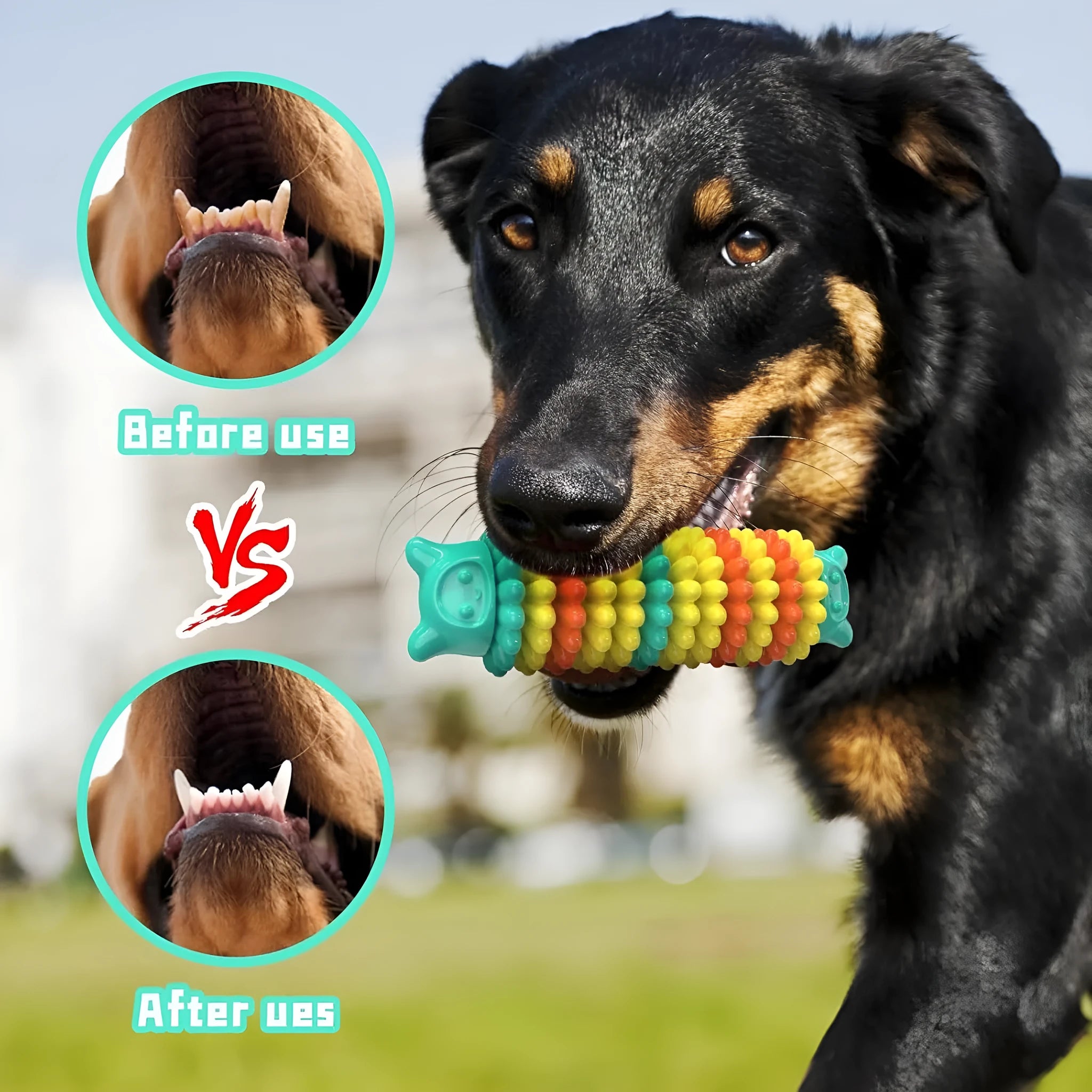 Blue green pink rubber caterpillar shape dog chew toy for aggressive chewers on a white background.