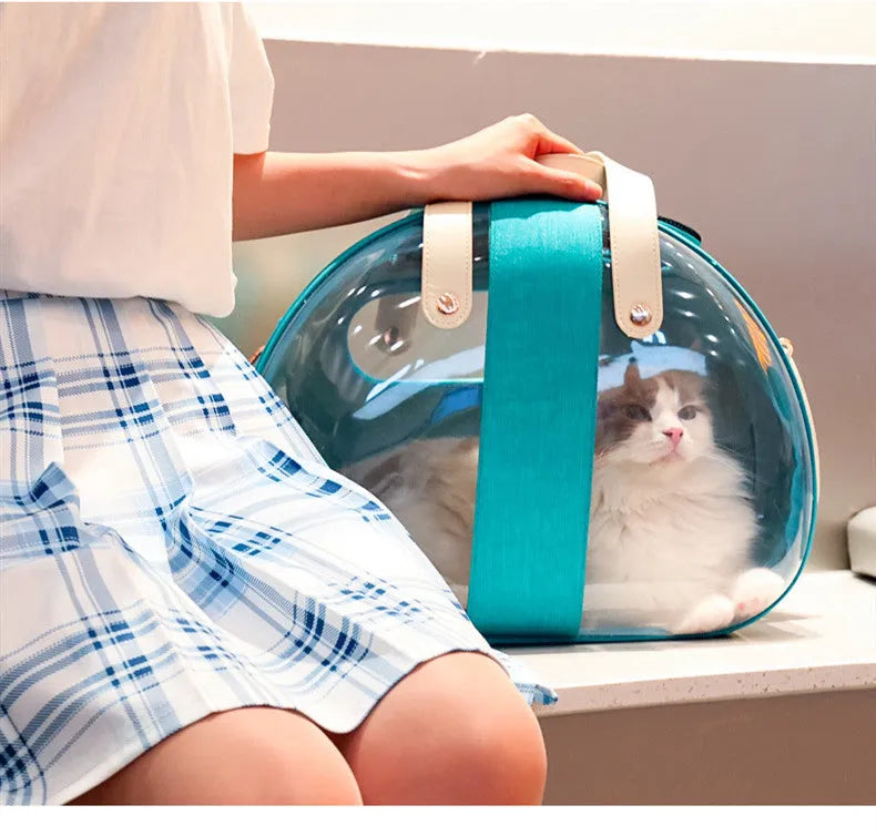 Double Fish transparent PVC pet backpack for small dogs and cats in sky blue with ventilation holes