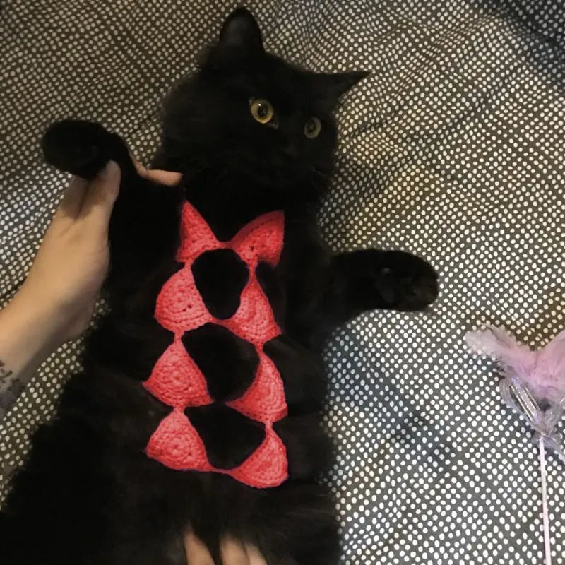 Colour options for sweet style cat bikini costume including black, green, pink, red, and rose red