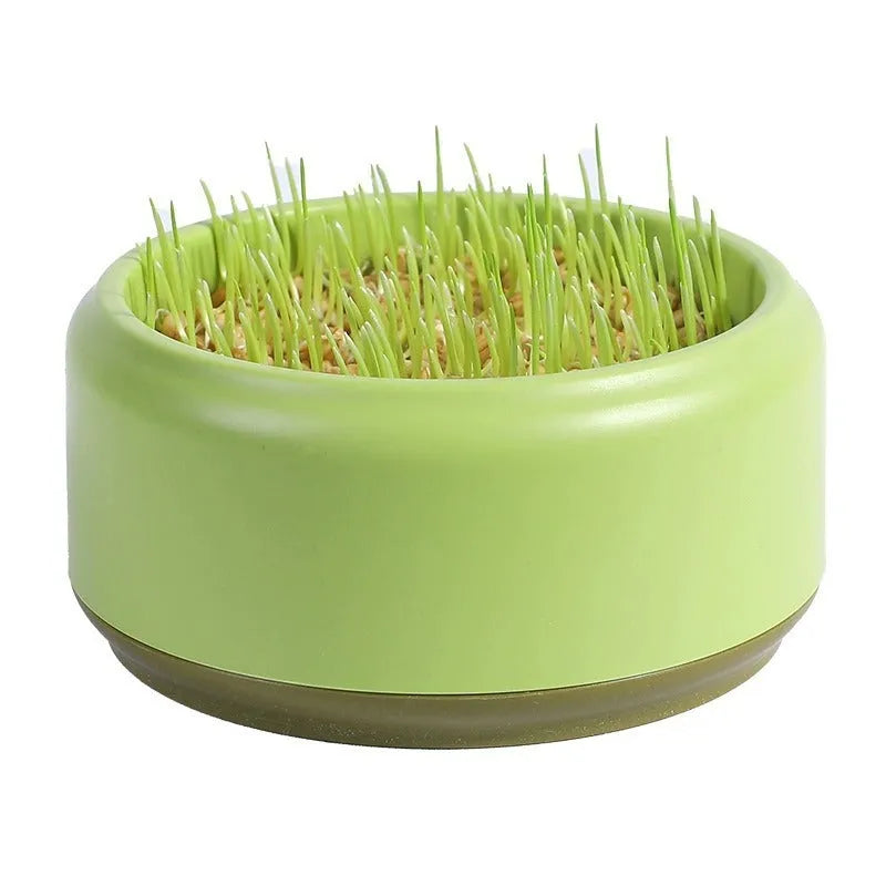 Hydroponic cat grass kit with cup and five seed packs in blue, green, and yellow colour options