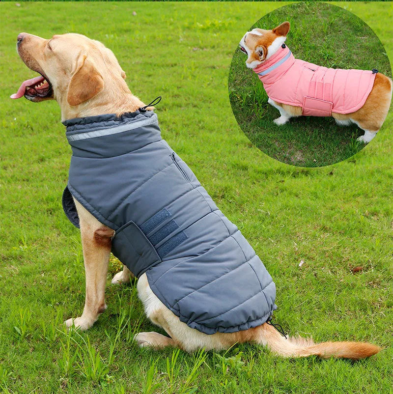 Cold-proof rain-proof pet coat for big dogs in grey trench style outdoor