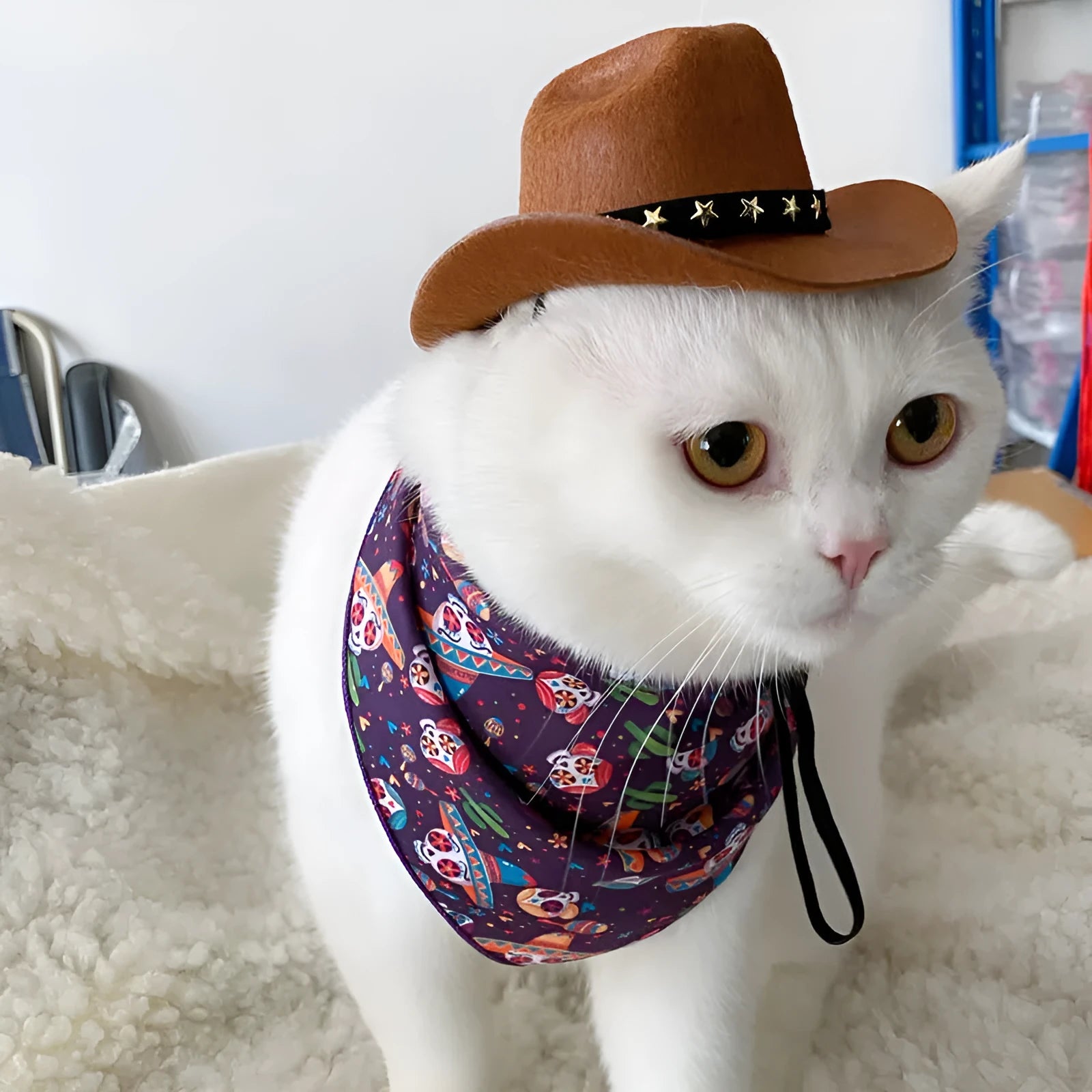 British-style brown cowboy hat for a cat with a black ribbon trim.