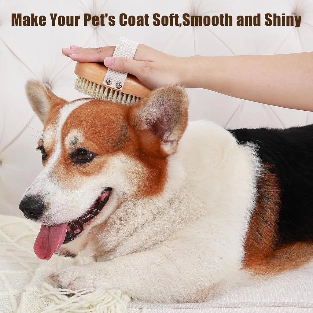 Soft boar bristle pet palm brush for short-haired dogs and cats with beech wood handle