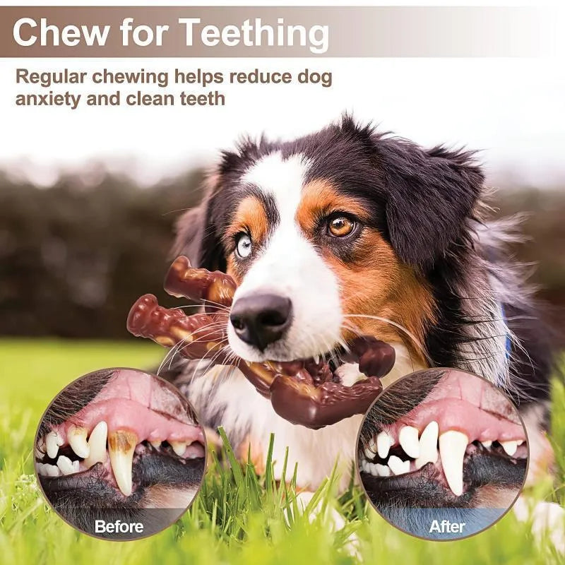 Scarlet red beef flavour nylon dog chew toy with bone-shaped design