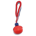 Blue natural rubber dog ball attached to a rope for tug-of-war and dental cleaning.