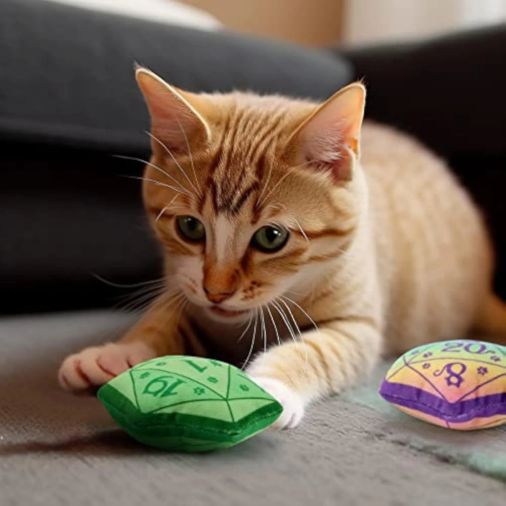 Dice-shaped soft plush catnip toy in assorted colours for interactive play and teething kittens.