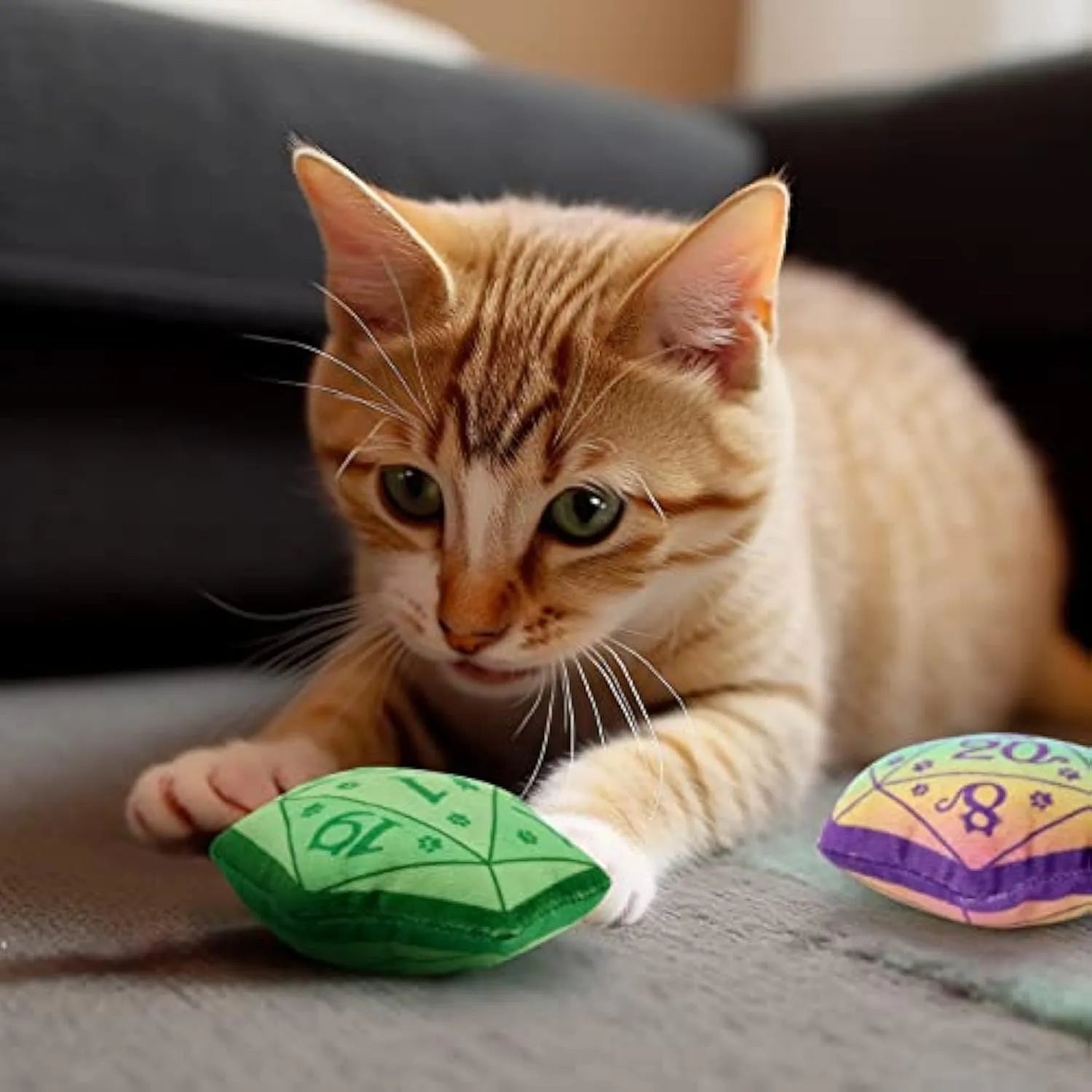 Dice-shaped soft plush catnip toy in assorted colours for interactive play and teething kittens.