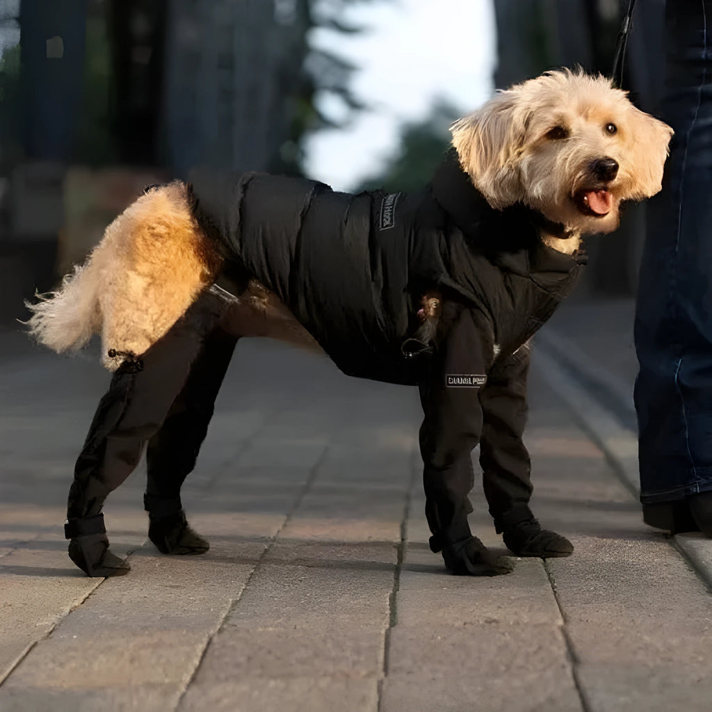 Black waterproof dog shoes with a strap closure and non-slip soles, shown in size L.