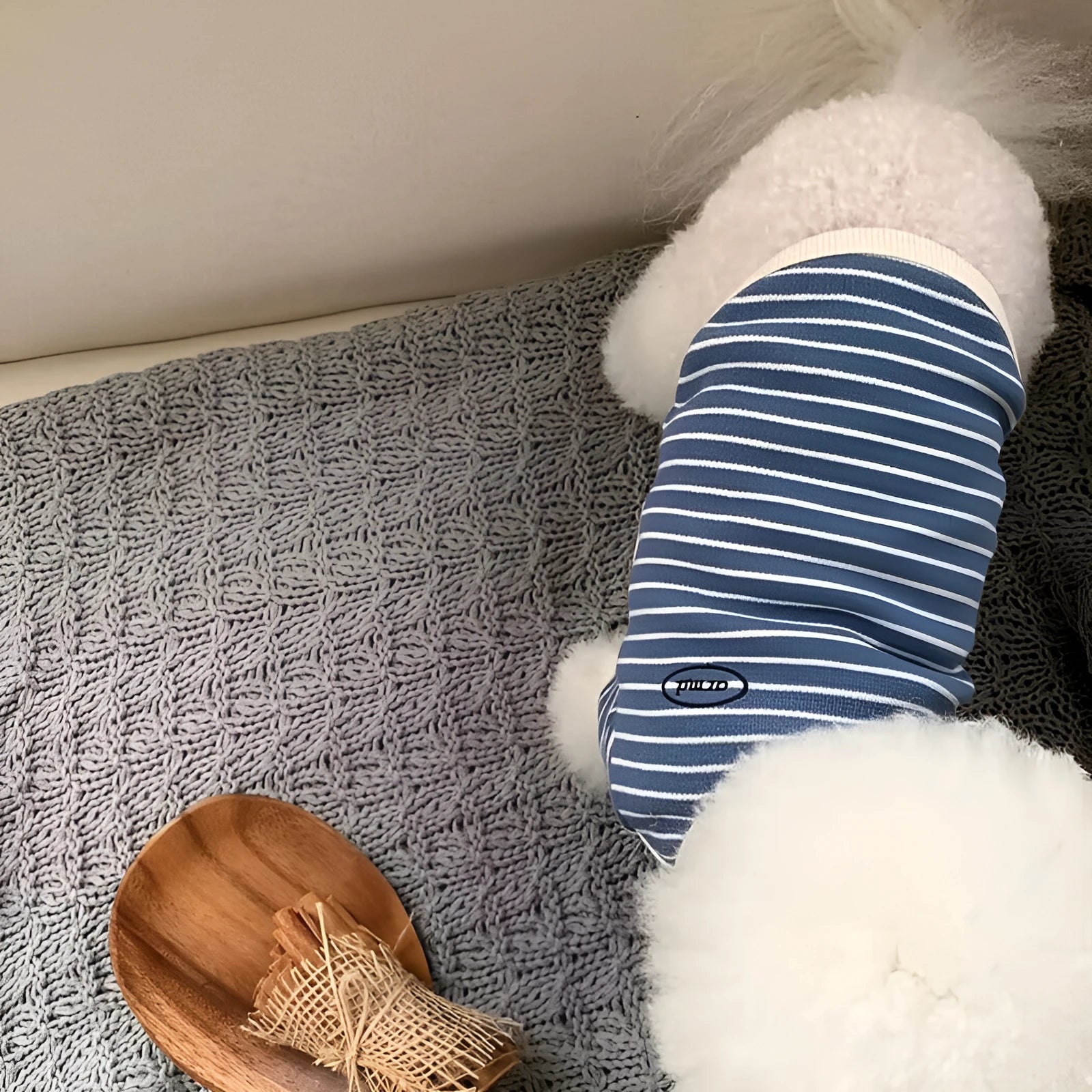 Simple striped printed small pet dog clothes in blue offered in sizes XS to XL for small breed dogs