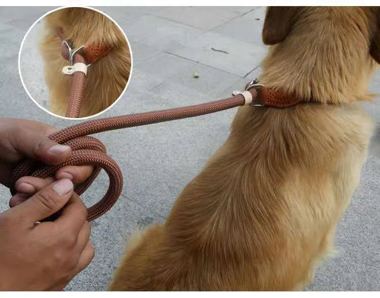 Brown nylon P chain dog leash with hand-holding rope, shown at full 2.1 metre length.