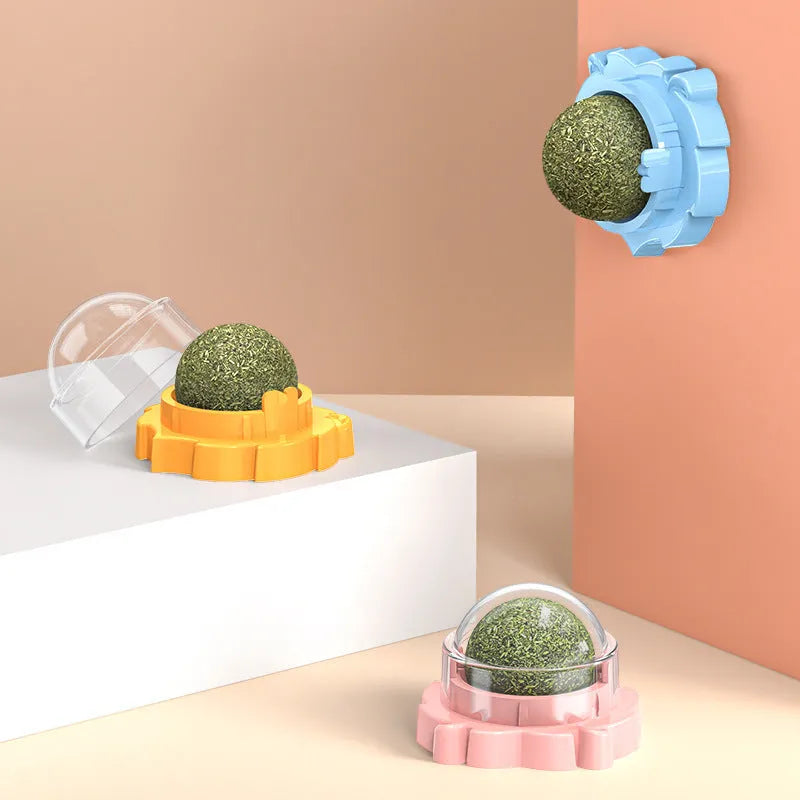 Paste-on catnip molar chew toy in PP plastic, shown in orange, pink, or blue with mint or Polygonum multiflorum flavour