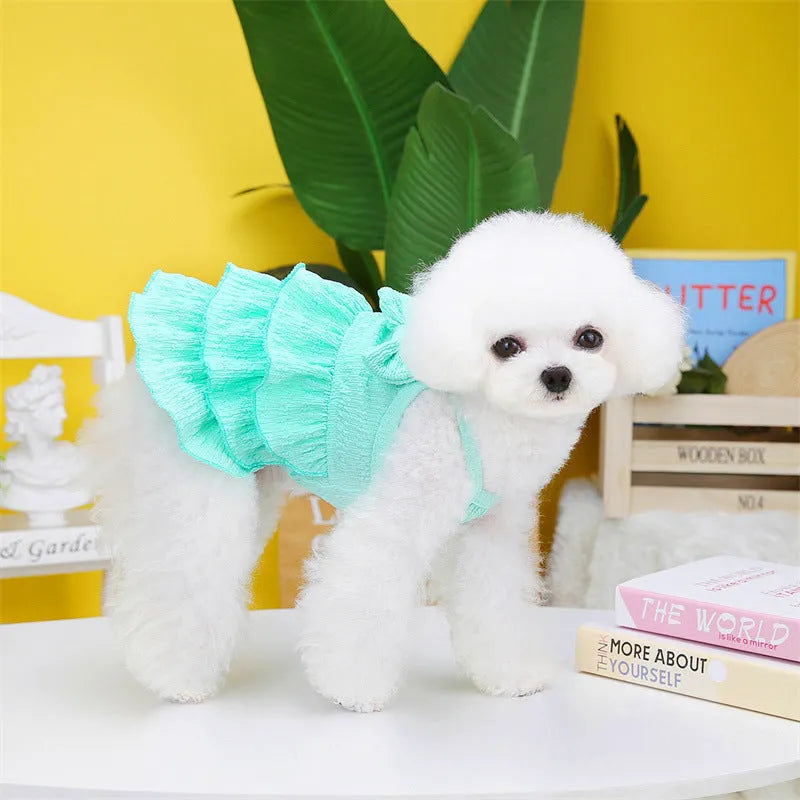 Small white dog wearing a rose red layered princess dress with a candy skirt design