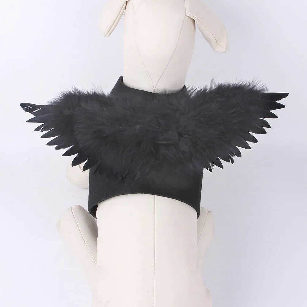 Black and white Halloween angel wings costume for dogs on chest and back.