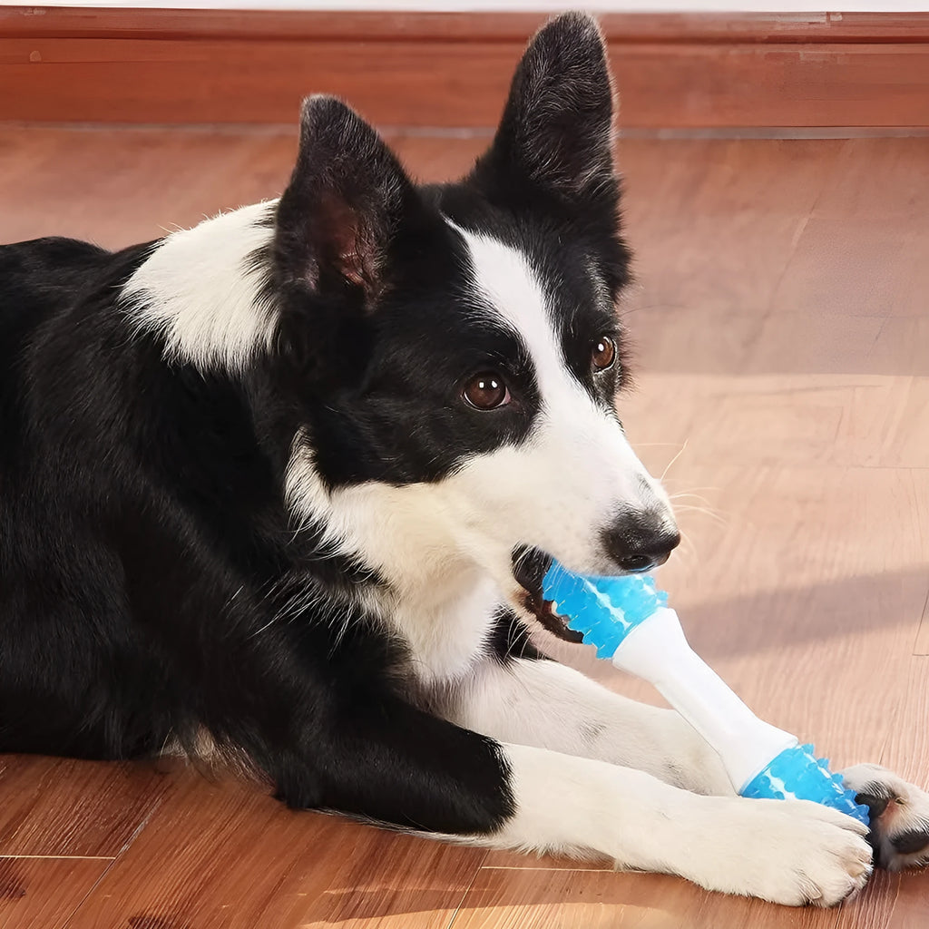 Dual-colour rubber puppy teething chew toy for dental health and gentle chewing.
