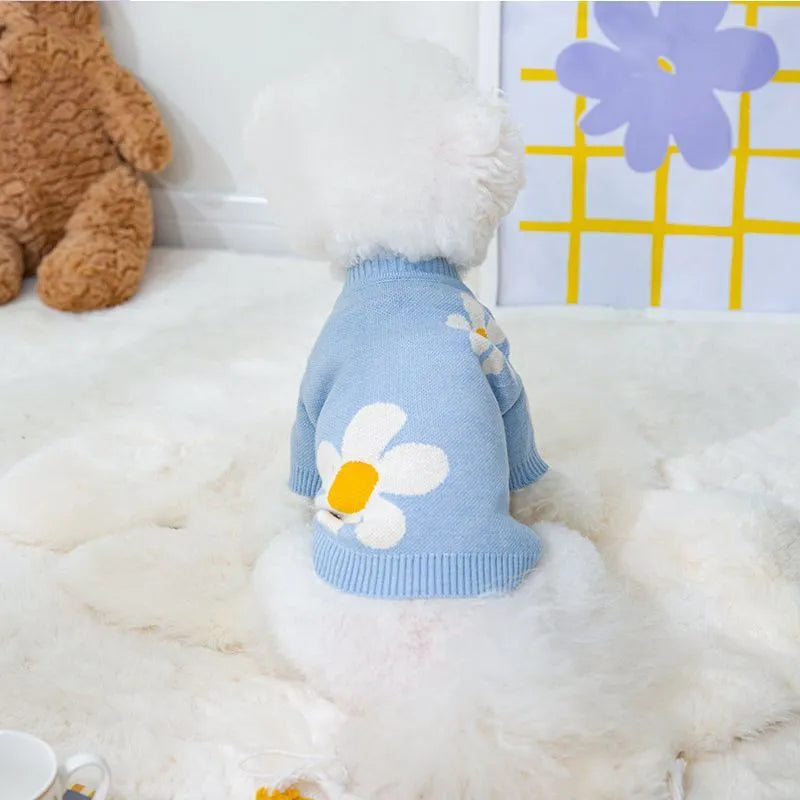 Small dog wearing blue polyester autumn winter clothing on a grassy background.