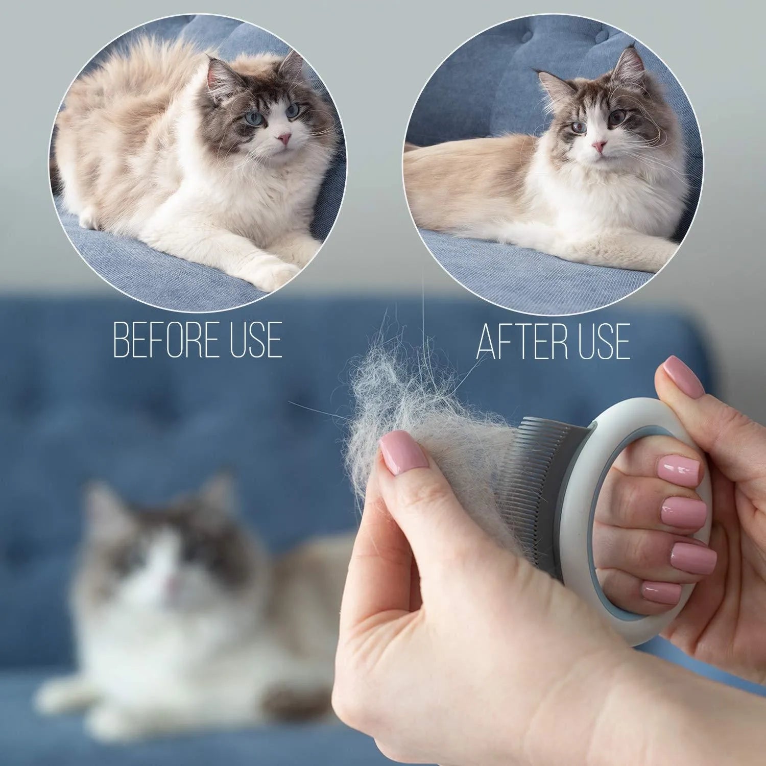Blue plastic pet grooming comb with soft teeth for cats and dogs