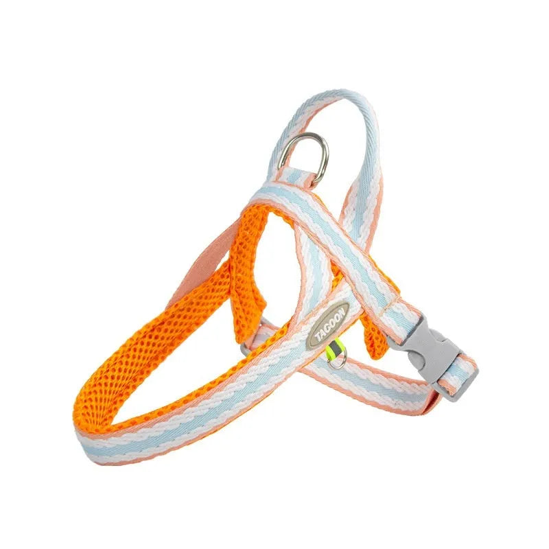 Polyester dog harness with Y-shaped chest strap and integrated hand-holding rope in four colour options
