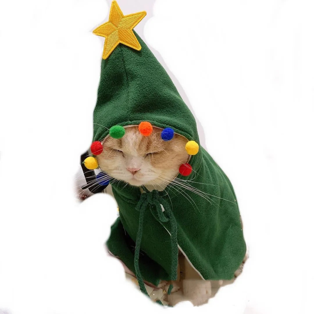 Red Christmas shawl cloak draped on small dog showing cloth fabric and seasonal pet clothing design