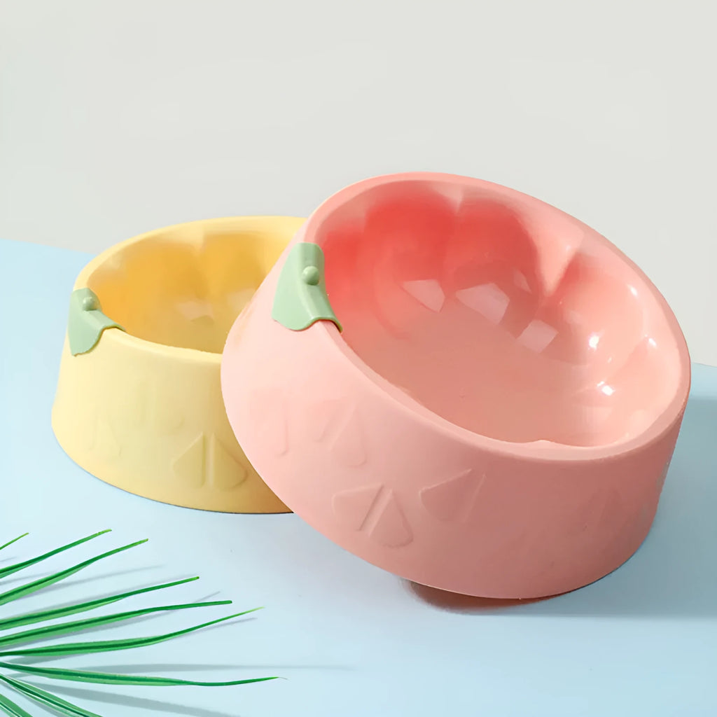 Plastic double pet bowl for cats and small dogs in flower-shaped design