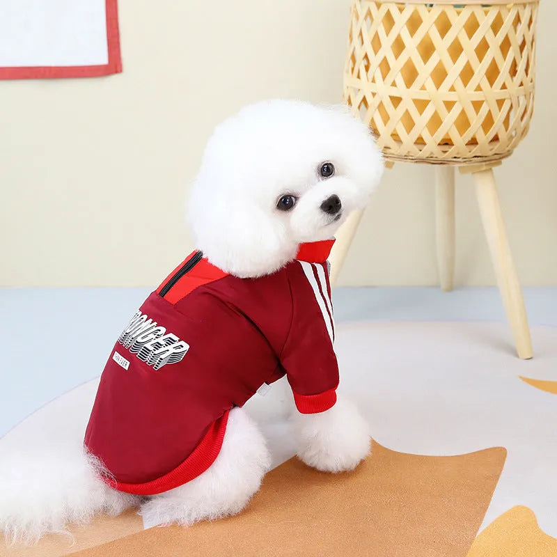 Thick warm pet dog cotton coat with V-shaped splicing, shown in red and blue, sizes XS to 3L