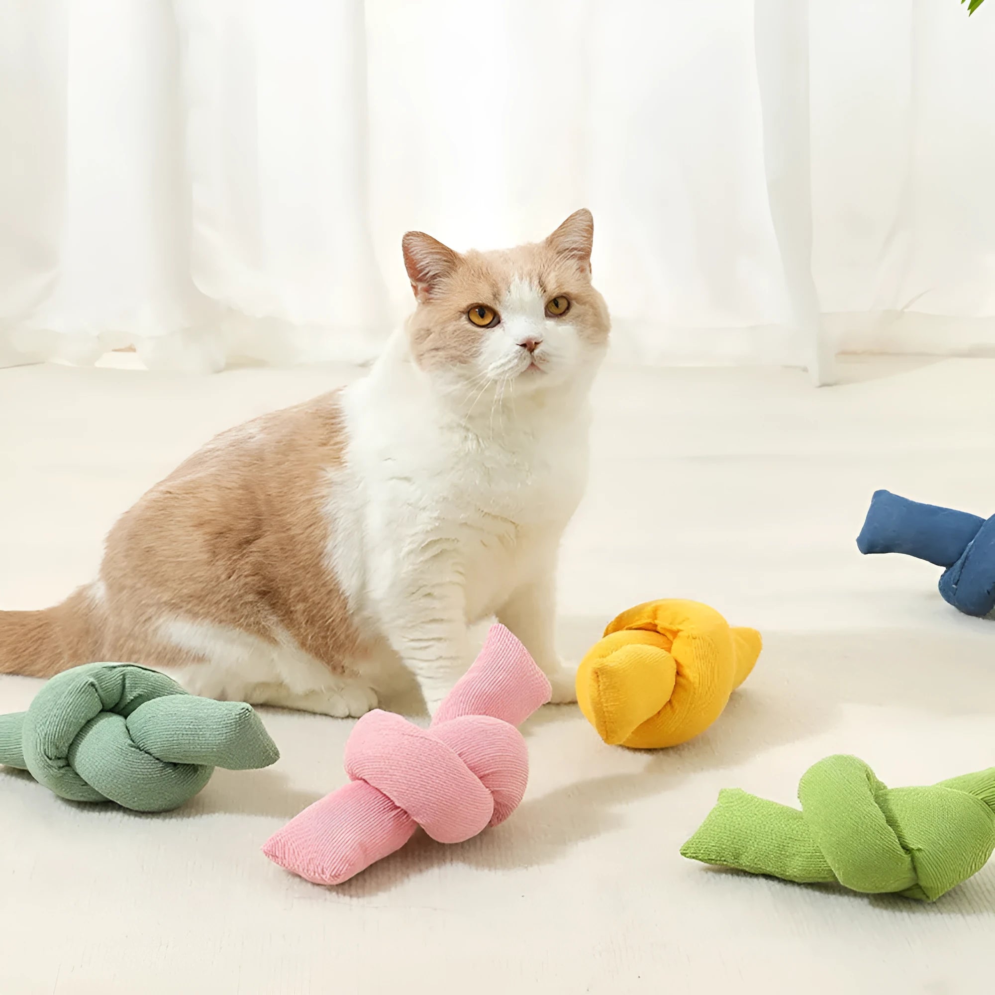 White cotton dog rope toy with multiple knots for tug games and dental flossing