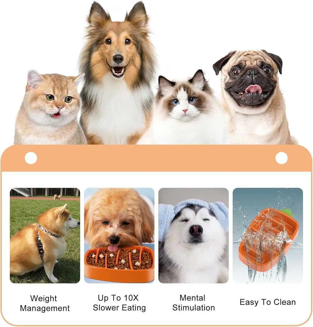 Carrot design slow feeder dog bowl for small and medium dogs, non-slip, melamine and silicone, sizes S and L