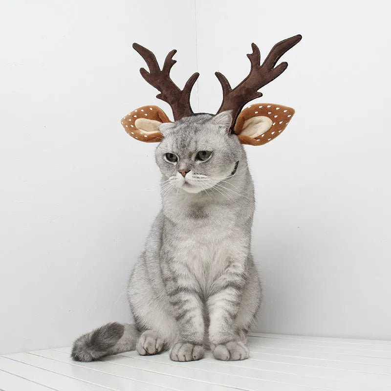 Yellow plush pet antler headband with adjustable hoop on a dog, Christmas reindeer costume